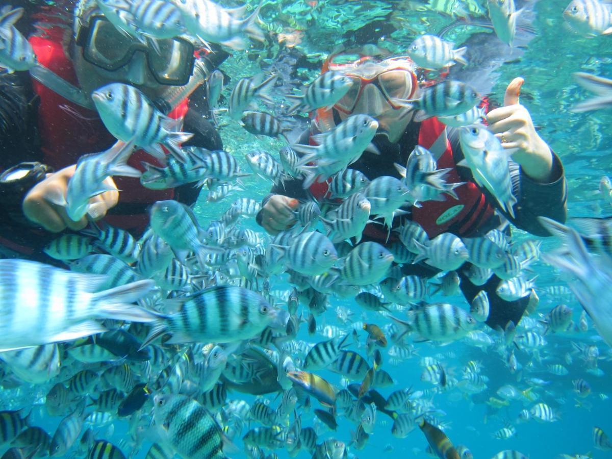 מלון Go Deeper Tioman מראה חיצוני תמונה